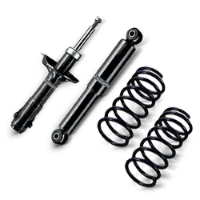 ممتص الصدمات